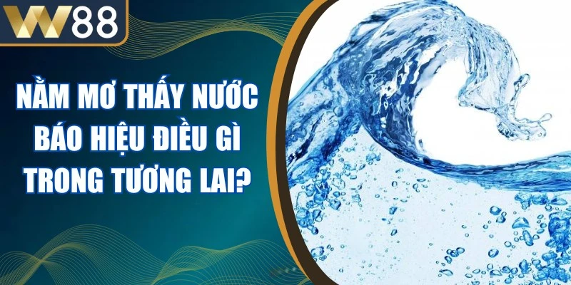 Nằm Mơ Thấy Nước Báo Hiệu Điều Gì Trong Tương Lai? 1 Nằm Mơ Thấy Nước